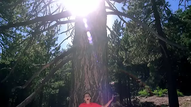 Nelly Furtado - I'm Like A Bird (Official Music Video)