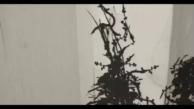 Silbermond - Durch die Nacht