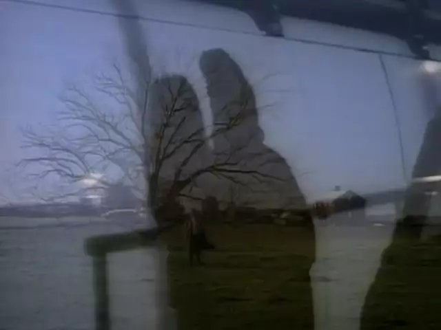 Steve Winwood - Back In The High Life Again (Official Video)