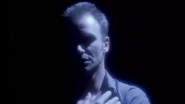 Sting - Fields Of Gold