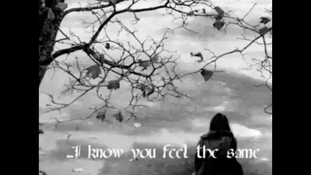 VNV Nation - Beloved