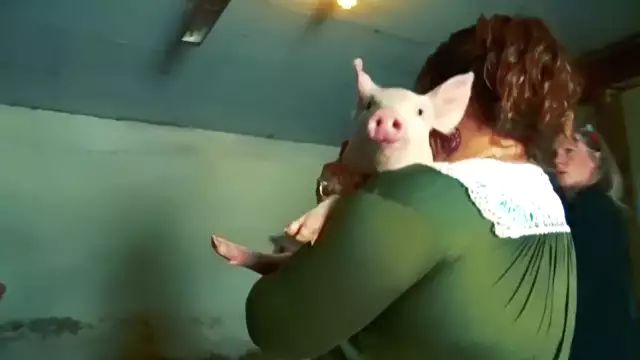 Moby & The Void Pacific Choir - A Simple Love (Official Video)