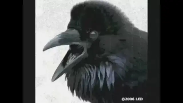 Alan Parsons Project The Raven