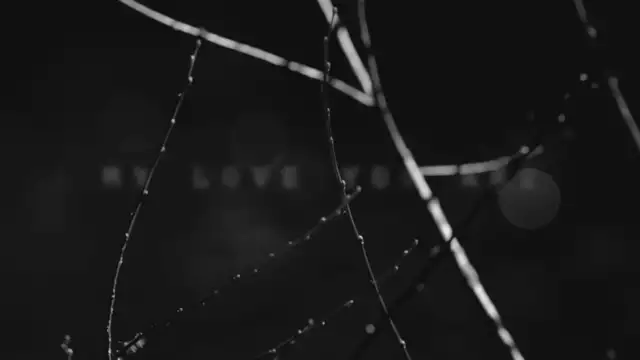 AMY LEE - ''Love Exists'' (Official Lyric Video)