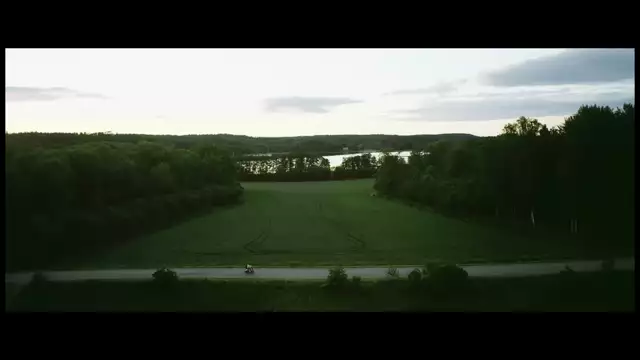 Avicii - Waiting For Love