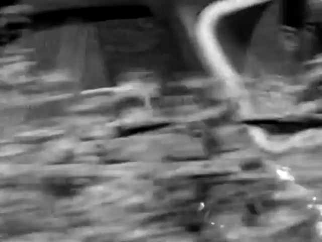 Depeche Mode - Never Let Me Down Again (Official Video) (Heard on Episode 1 of The Last Of Us)