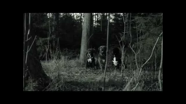 Donots - Stop the Clocks (Official Video)