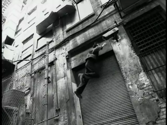 Eels - Novocaine For The Soul (Official Video)