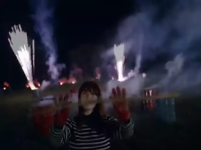 Feist - I Feel It All