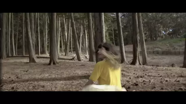 George Harrison - What Is Life