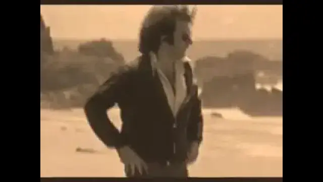 Neil Diamond  ''I Am... I Said''