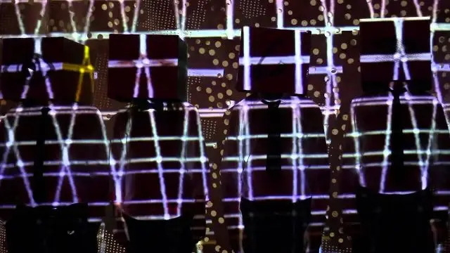 Tiny Magnetic Pets - We Shine (OFFICIAL)