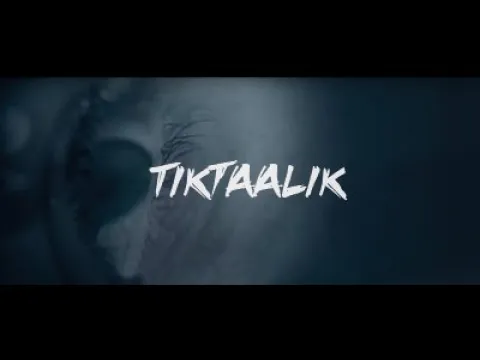 TiktAAlik - Time Limit | Live @ Pauluskirche Dortmund 2020