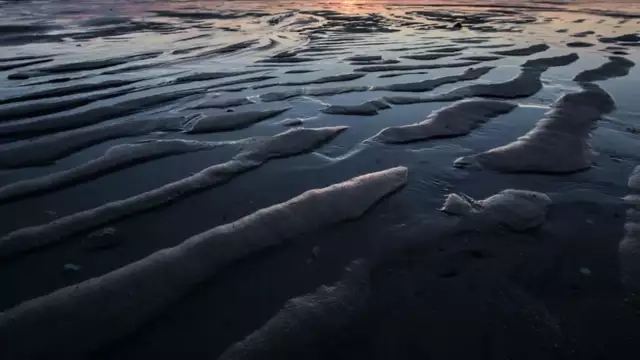 Tiktaalik   Higher Hopes (Official Video Edit)