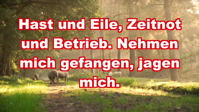 Meine Zeit, steht in deinen Händen