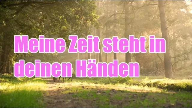 Meine Zeit, steht in deinen Händen